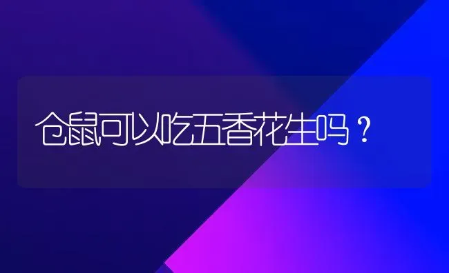 仓鼠可以吃五香花生吗？ | 动物养殖问答