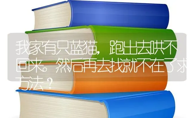 我家有只蓝猫，跑出去哄不回来。然后再去找就不在了求方法？ | 动物养殖问答