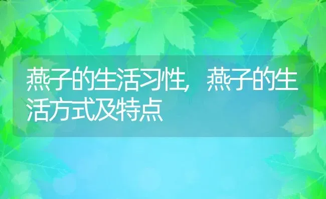 燕子的生活习性,燕子的生活方式及特点 | 宠物百科知识