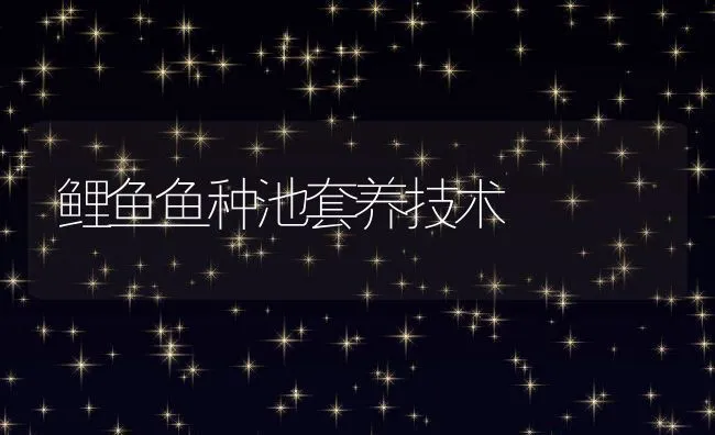 池塘主养青鱼技术要点 | 海水养殖技术