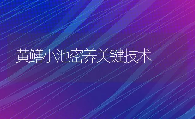 黄鳝小池密养关键技术 | 动物养殖饲料