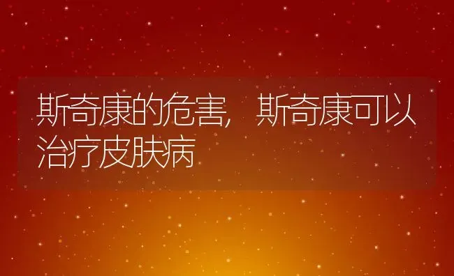 斯奇康的危害,斯奇康可以治疗皮肤病 | 宠物百科知识