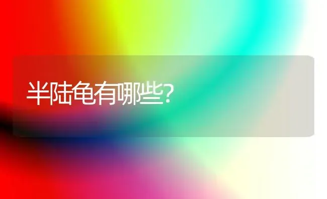 半陆龟有哪些？ | 动物养殖问答