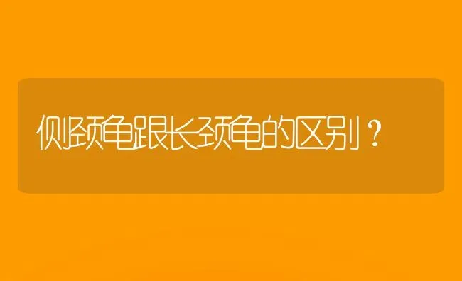 侧颈龟跟长颈龟的区别？ | 动物养殖问答