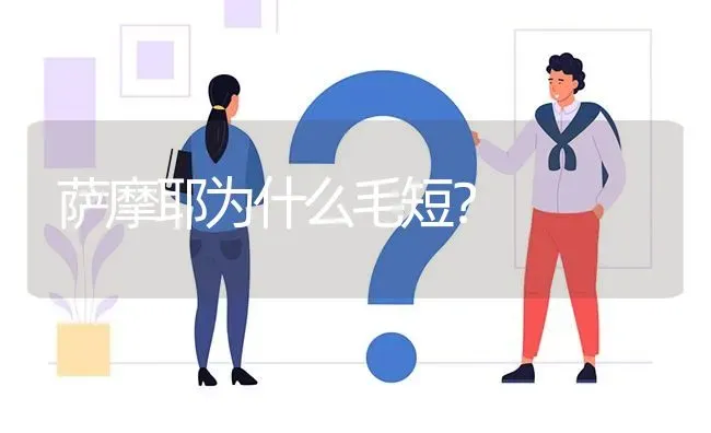 萨摩耶为什么毛短？ | 动物养殖问答