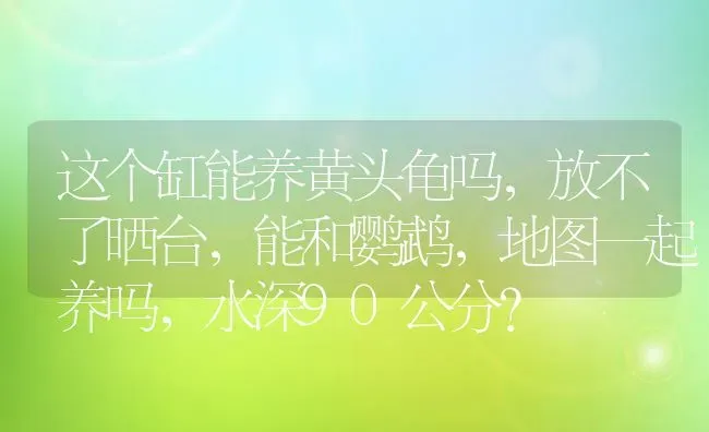 这个缸能养黄头龟吗，放不了晒台，能和鹦鹉，地图一起养吗，水深90公分？ | 动物养殖问答