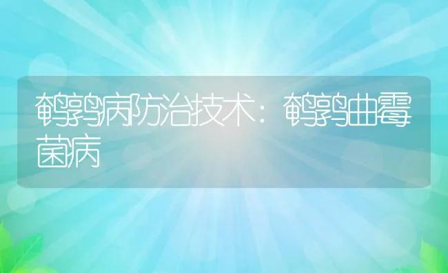 肉兔球虫病的防治方法 | 水产养殖知识