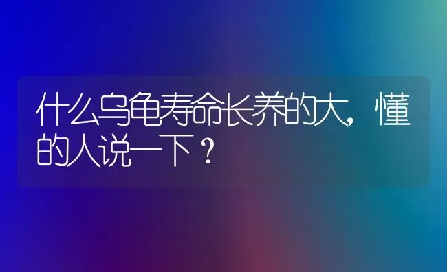 什么乌龟寿命长养的大，懂的人说一下？ | 动物养殖问答