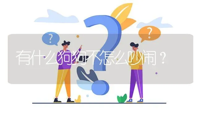 有什么狗狗不怎么吵闹？ | 动物养殖问答