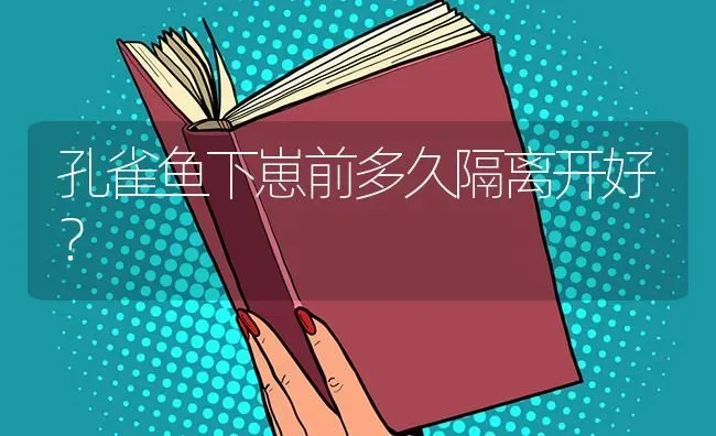 孔雀鱼下崽前多久隔离开好？ | 鱼类宠物饲养