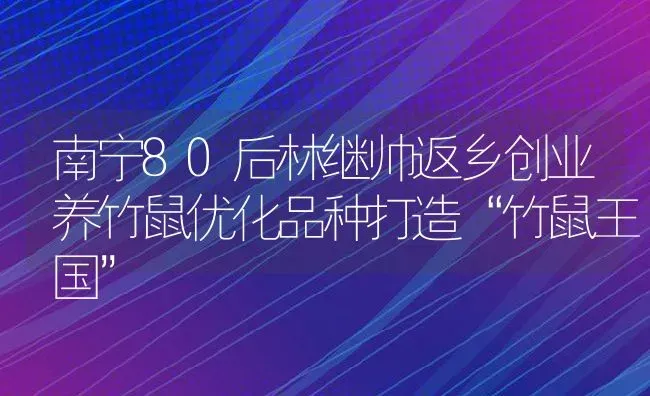 南宁80后林继帅返乡创业养竹鼠优化品种打造“竹鼠王国” | 动物养殖百科