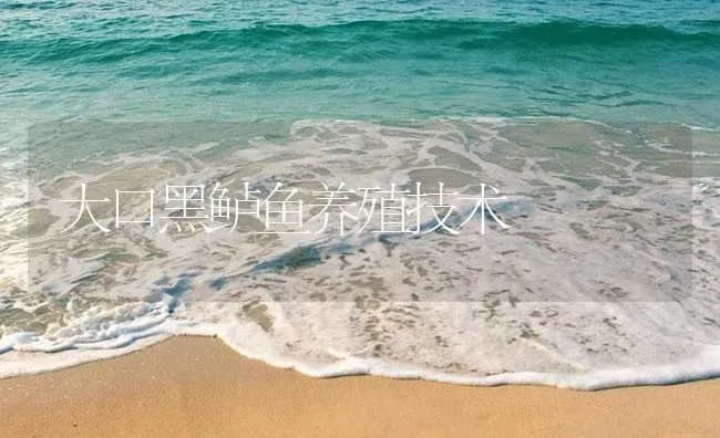 大口黑鲈鱼养殖技术 | 海水养殖技术