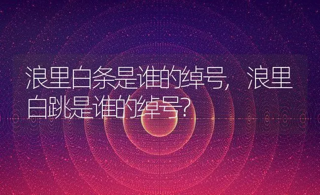 浪里白条是谁的绰号,浪里白跳是谁的绰号? | 宠物百科知识