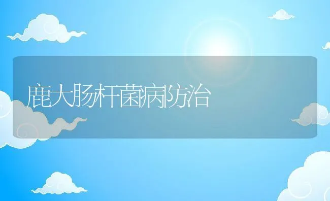 鹿大肠杆菌病防治 | 动物养殖学堂