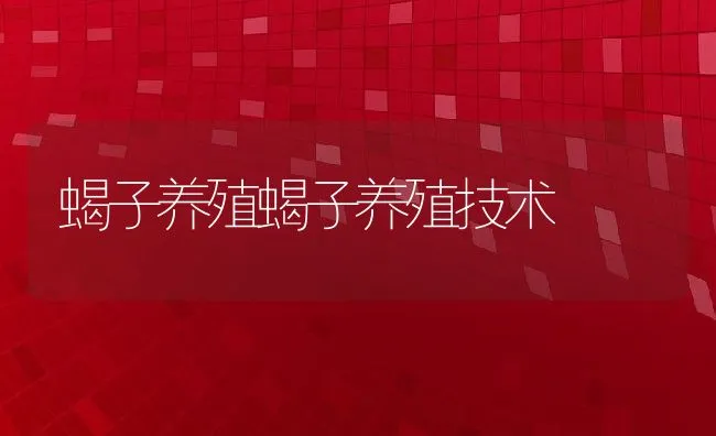 蝎子养殖蝎子养殖技术 | 水产养殖知识