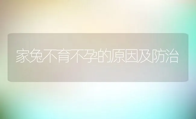 家兔不育不孕的原因及防治 | 动物养殖学堂