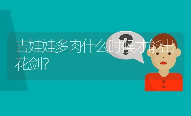 吉娃娃多肉什么时候才能出花剑？ | 动物养殖问答