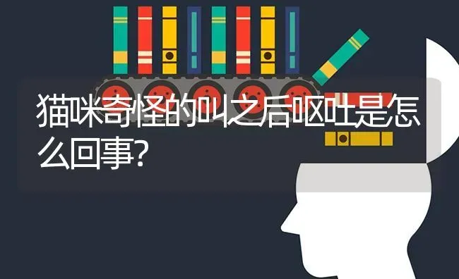 猫咪奇怪的叫之后呕吐是怎么回事？ | 动物养殖问答