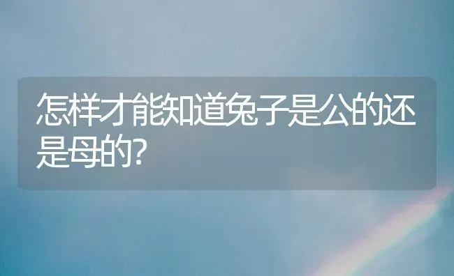 怎样才能知道兔子是公的还是母的？ | 动物养殖问答