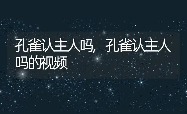 孔雀认主人吗,孔雀认主人吗的视频 | 宠物百科知识