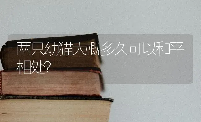 两只幼猫大概多久可以和平相处？ | 动物养殖问答