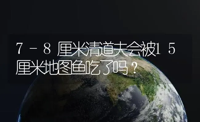 7-8厘米清道夫会被15厘米地图鱼吃了吗？ | 鱼类宠物饲养