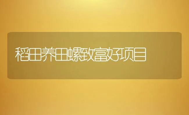 稻田养田螺致富好项目 | 水产养殖知识