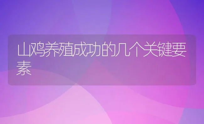 山鸡养殖成功的几个关键要素 | 动物养殖饲料