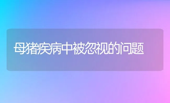 母猪疾病中被忽视的问题 | 动物养殖学堂