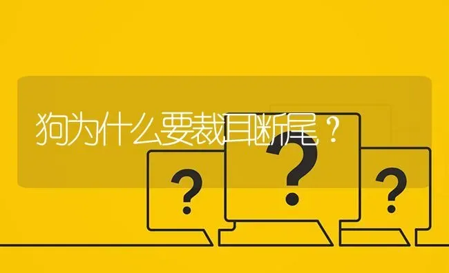 狗为什么要裁耳断尾？ | 动物养殖问答