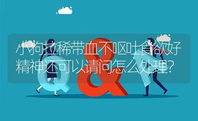 小狗拉稀带血不呕吐食欲好精神还可以请问怎么处理？ | 动物养殖问答