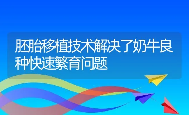 胚胎移植技术解决了奶牛良种快速繁育问题 | 动物养殖饲料