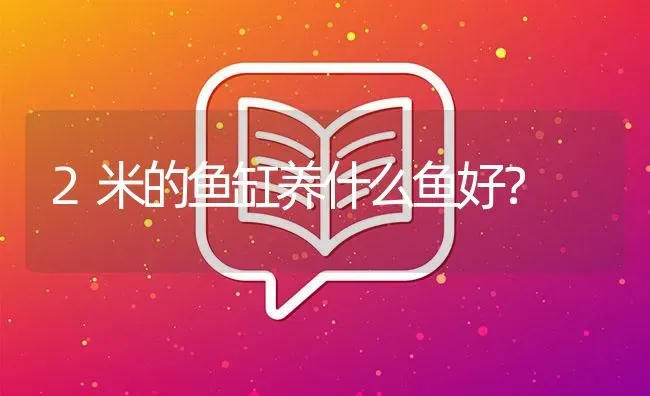 2米的鱼缸养什么鱼好？ | 鱼类宠物饲养