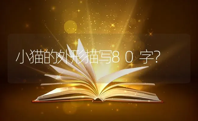 小猫的外形描写80字？ | 动物养殖问答