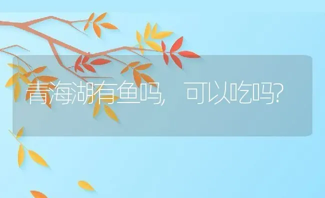 青海湖有鱼吗,可以吃吗? | 宠物百科知识