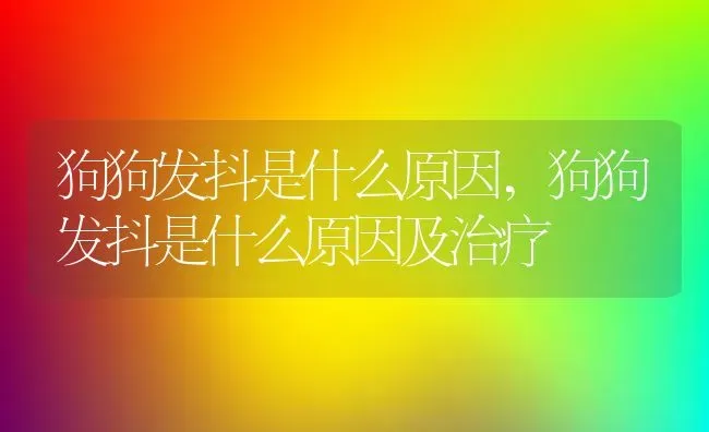 狗狗发抖是什么原因,狗狗发抖是什么原因及治疗 | 宠物百科知识