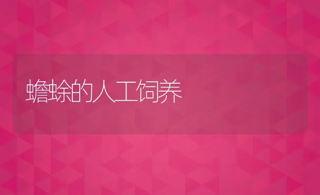 鲤、鲫鱼竖鳞病的防治 | 海水养殖技术