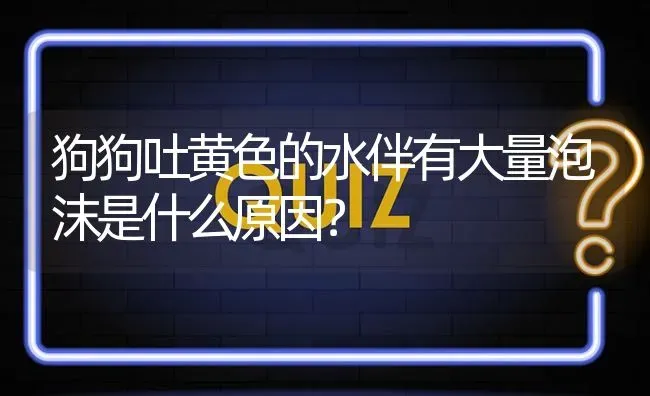 狗狗吐黄色的水伴有大量泡沫是什么原因？ | 动物养殖问答