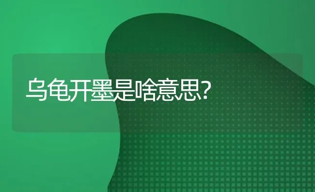 乌龟开墨是啥意思？ | 动物养殖问答