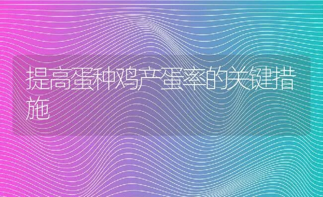 提高蛋种鸡产蛋率的关键措施 | 动物养殖学堂