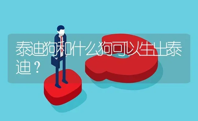 泰迪狗和什么狗可以生出泰迪？ | 动物养殖问答