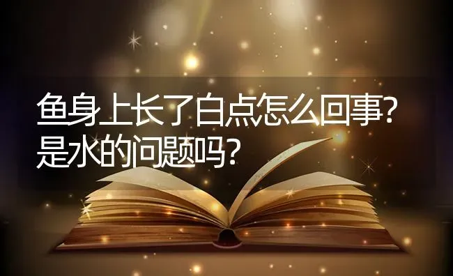 鱼身上长了白点怎么回事？是水的问题吗？ | 鱼类宠物饲养