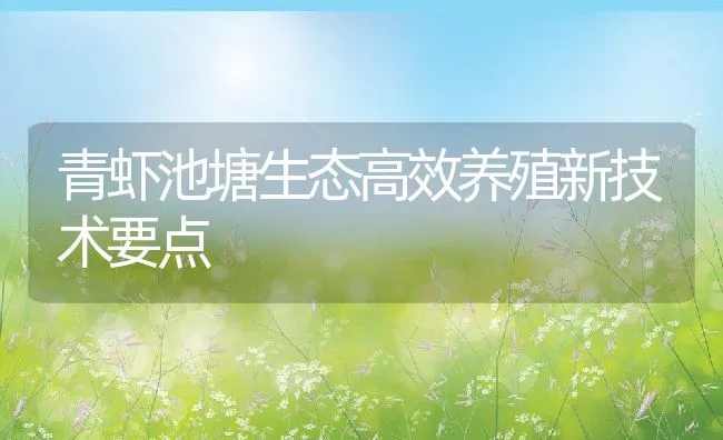 青虾池塘生态高效养殖新技术要点 | 动物养殖饲料