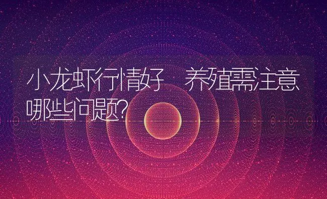 小龙虾行情好 养殖需注意哪些问题？ | 淡水养殖技术