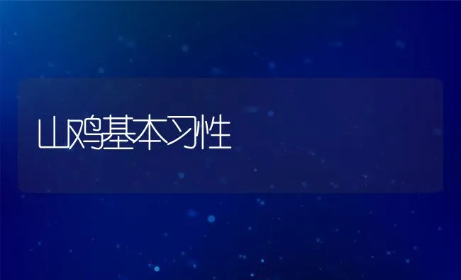 山鸡基本习性 | 水产养殖知识