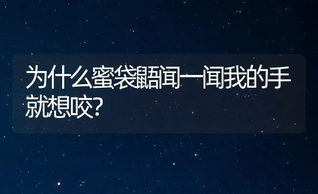 为什么蜜袋鼯闻一闻我的手就想咬？ | 动物养殖问答