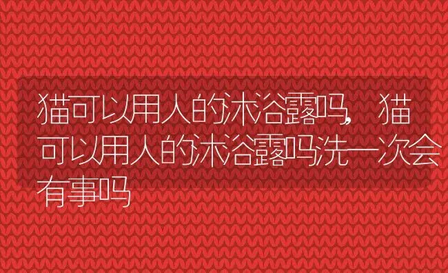 猫可以用人的沐浴露吗,猫可以用人的沐浴露吗洗一次会有事吗 | 宠物百科知识