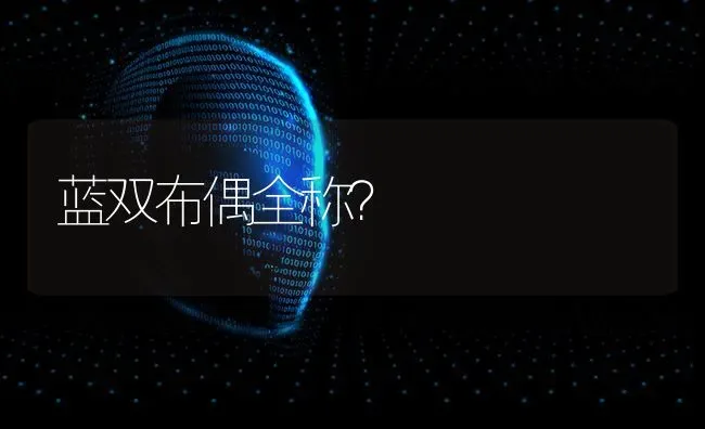 蓝双布偶全称？ | 动物养殖问答