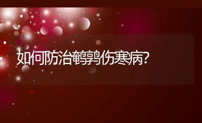 如何防治鹌鹑伤寒病？ | 水产养殖知识