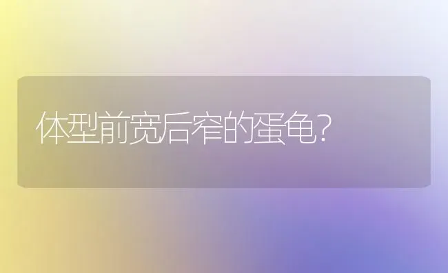 体型前宽后窄的蛋龟？ | 动物养殖问答